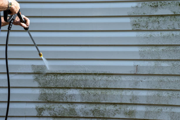 Best Hoarding Cleanup  in Inola, OK